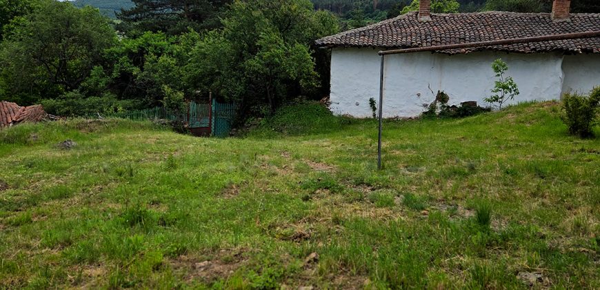 Два имота в село Чеканчево